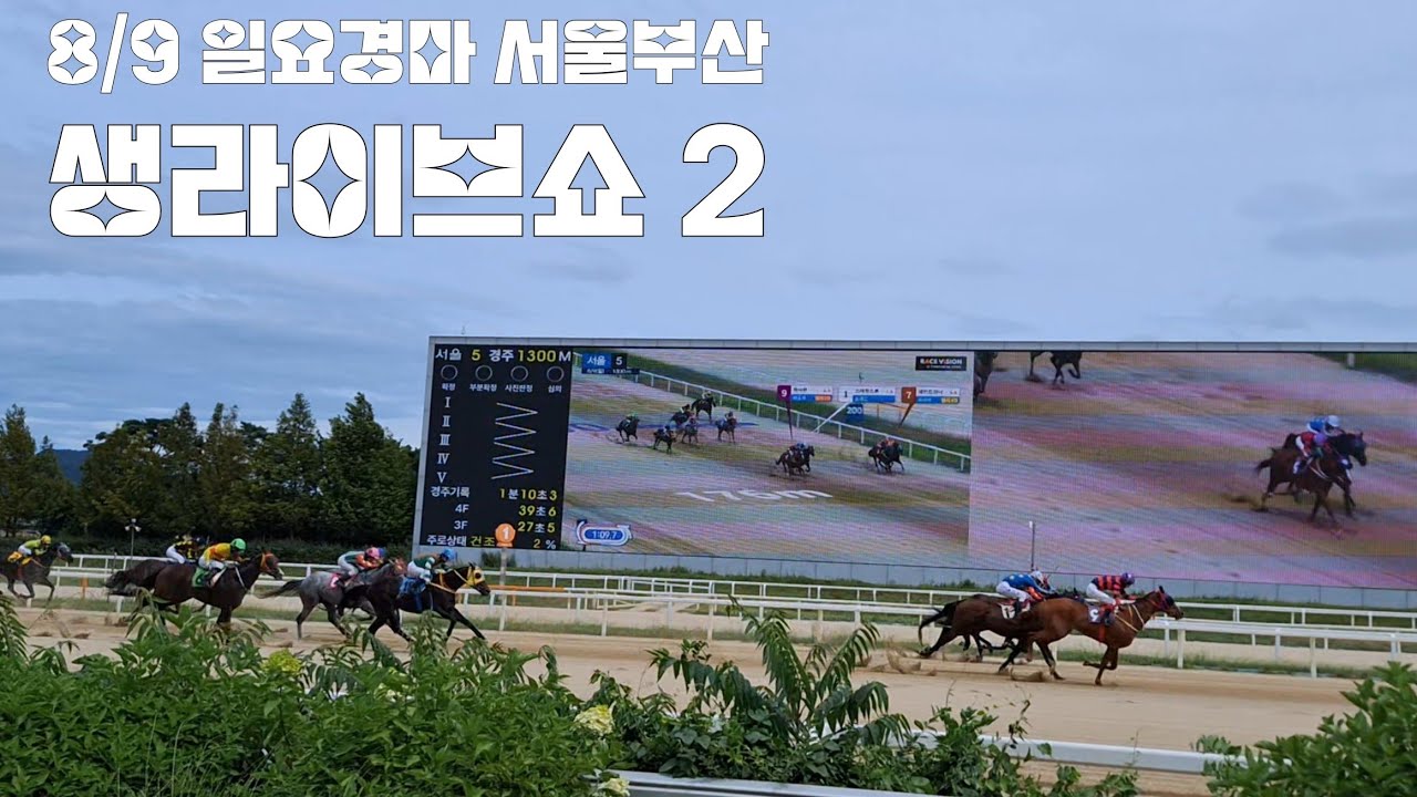 8/9 일요경마 서울.부산 생라이브쇼2 