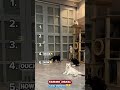 Wait for it... 😂