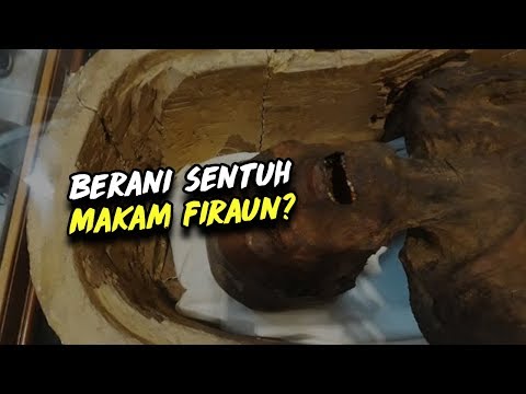 Video: Apakah garis lembut?