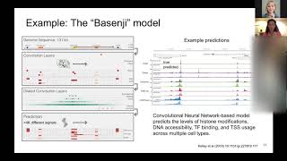 Machine Learning Applications in Epigenomics