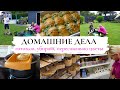 VLOG🇩🇪: МОТИВАЦИЯ НА ГОТОВКУ И ДЕЛА ПО ДОМУ🔥вкусные булочки👌в магазине уже новогодний декор🙈