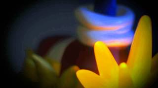 First 4 Figures Modern Sonic Teaser Video