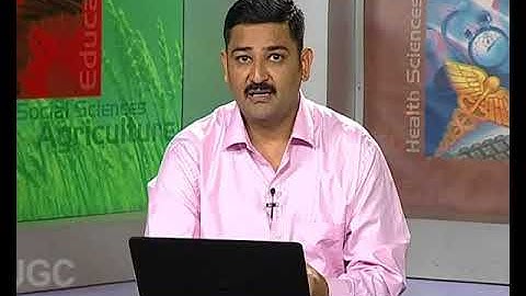 Organizing Function of Management