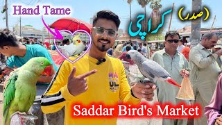 Sadar Exotic Parrots \& Birds Market 2024 Latest Update in Urdu Hindi | Birds market in Pakistan