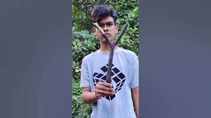 I used Stick as a compass #Shorts