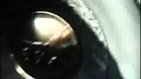 12vdb.com - car audio database: JBL P1024.2