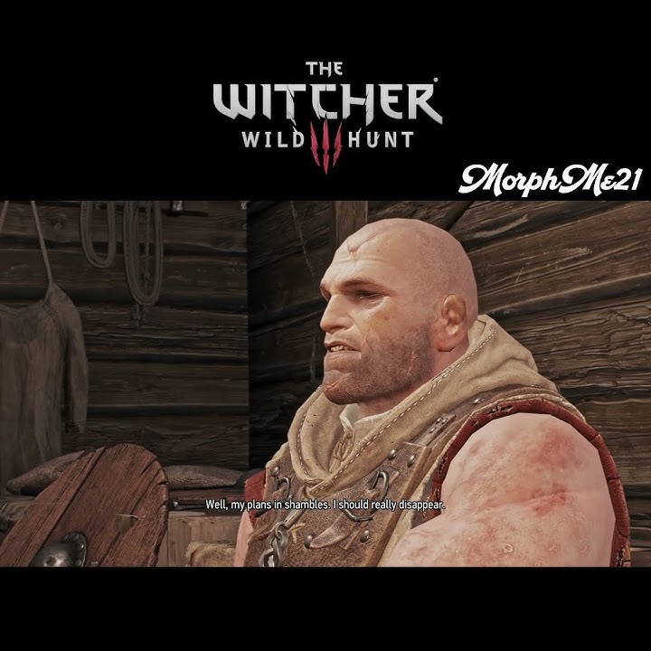 Geralt helps Letho (Witcher 3)