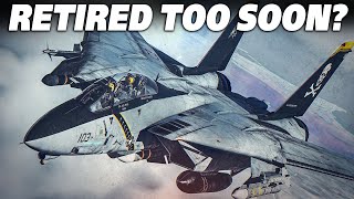 Could The F14 Tomcat Still Be Relevant ? F14 Tomcat Vs Su33 FlankerD Intercept | DCS |