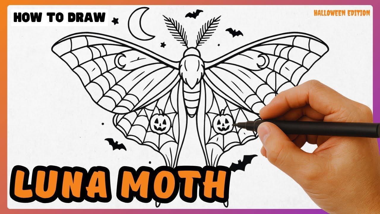 How to Draw LUNA MOTH - EASY Step by Step Tutorial [Halloween Edition]