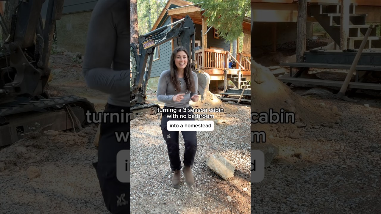 Переделка моего трёхсезонного домика в усадьбу: металлическая крыша