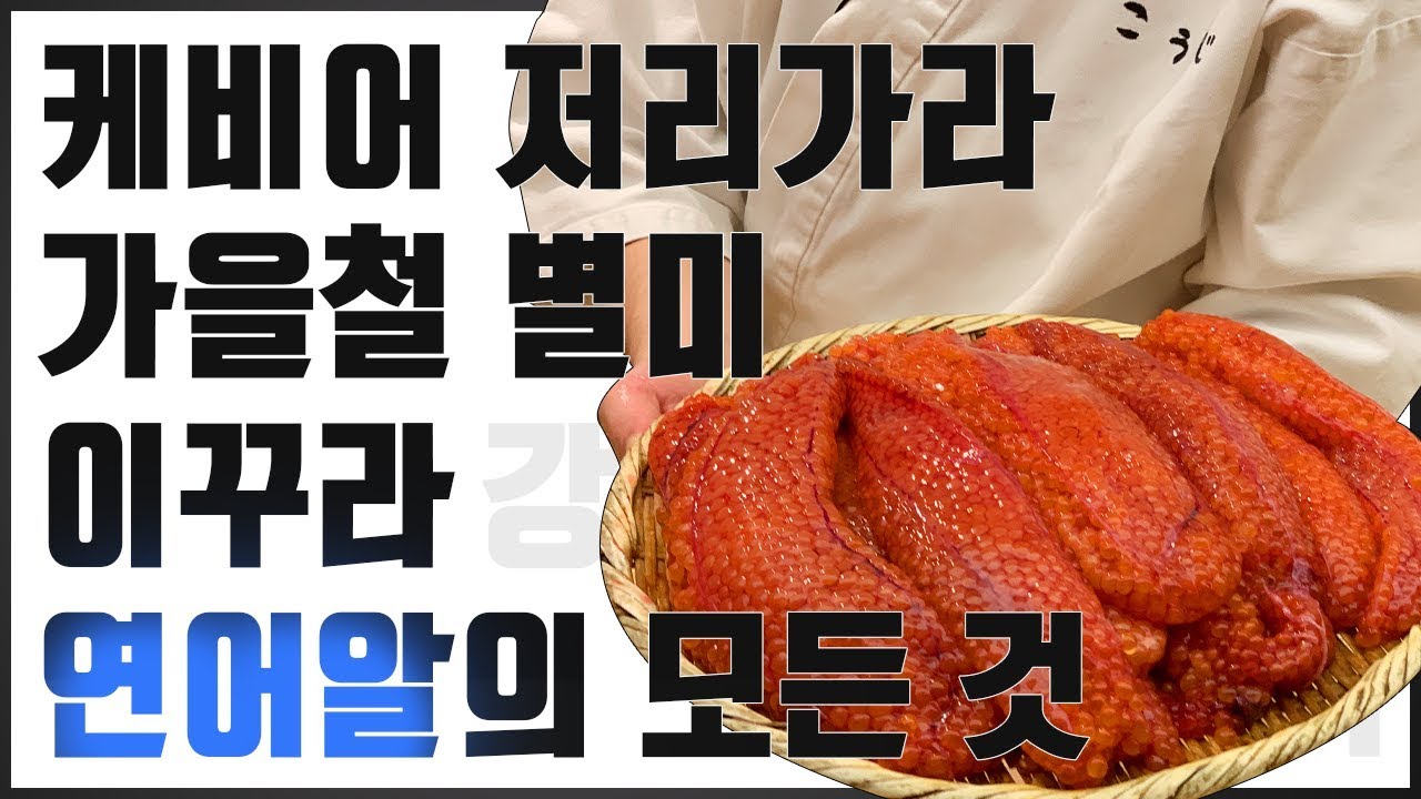 가을철 별미 강원도 양양 연어알  손질법과 이꾸라동 만들어 먹기 (Japanese salmon roe ikura)