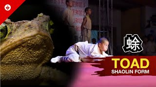 Shaolin TOAD Form by WARRIOR Monk | BEST KUNG FU