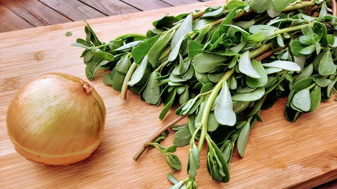 Magma retro porno toplami