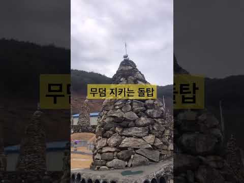 돌탑 무덤 지키는 강아지