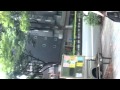 SMAPとバッタ