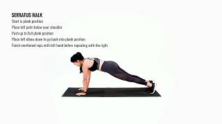 How to do a  SERRATUS WALK / up down plank / commandos for beginners