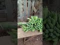 continuando o vídeo anterior