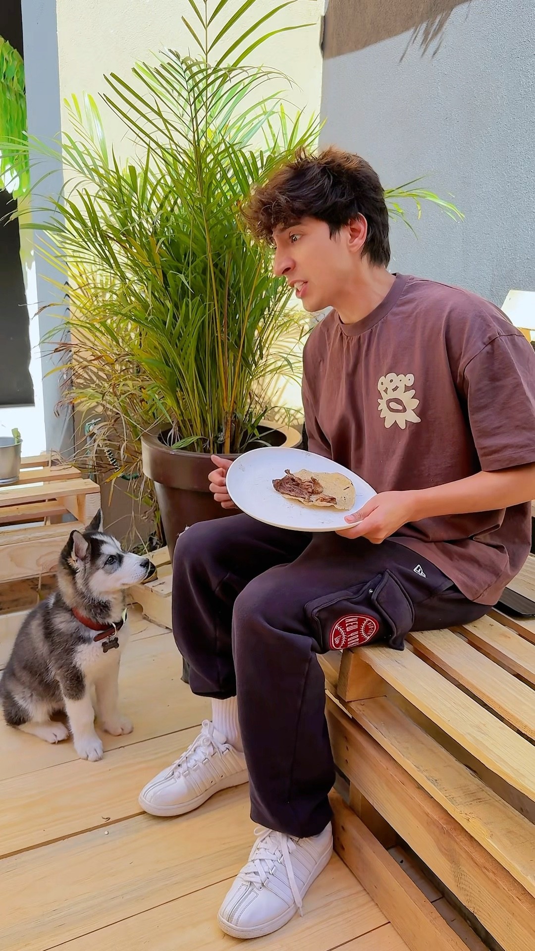 COMO COME EL PERRITO ?