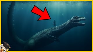 20 Mysterieuze Zeemonsters Op Camera Vastgelegd