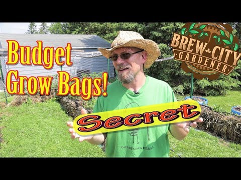 EAZY GARDEN  Veggie Grow Bag® – Eazy Garden