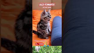 short musik lagu lagucinta lovesong 