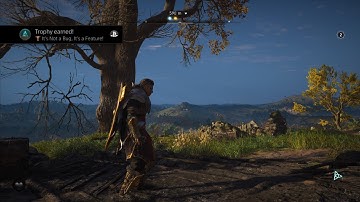 Assassin