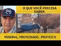 IMPORTÂNCIA DE MEDIR O CONSUMO DE MINERAL CONSUMIDO PELO GADO