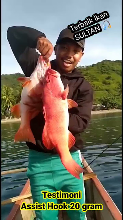 strike kerapu sunu sultan Joss Double 🎣, testimoni assist hook 20 gram dari KOPLAK FISHING