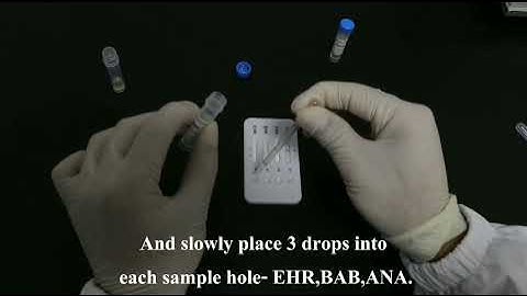 EHR/ ANA/BAB/CHW 4 in 1 pet rapid test kit