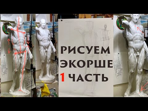 Рисунок фигуры экорше 1 часть