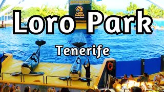 TENERIFE | Exploring the Unrivaled Beauty of Loro Park