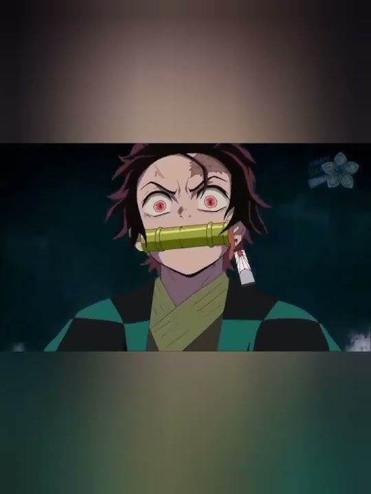 If Nezuko was a demon slayer #demonslayer #kny # funny #tanjiro #nezuko #edit