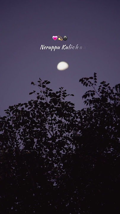 Karuppu Perazhaga song black screen lyrics video #trending #tamilsong #whatsappstatus #lyrics