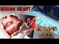 5 Amazing Facts about human heart 🫀 || Human Heart Facts in Hindi ||