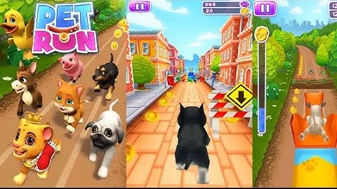Pet Run Puppy Dog Game - Pet Run - Puppy Dog Game Android
