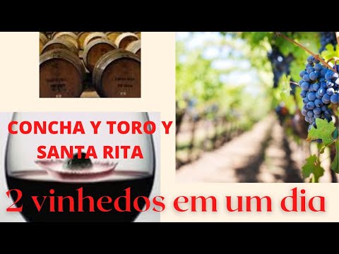 🤣🤣 2 vinhedos em um dia - Tour Privativo - CONCHA Y TORO Y SANTA RITA - Whatsapp + 56 9 6919 5247 🤣🤣