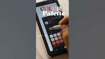 How to create Color Palette in Infinite Painter #digitalart #akashkumarillustrates #infinitepainter