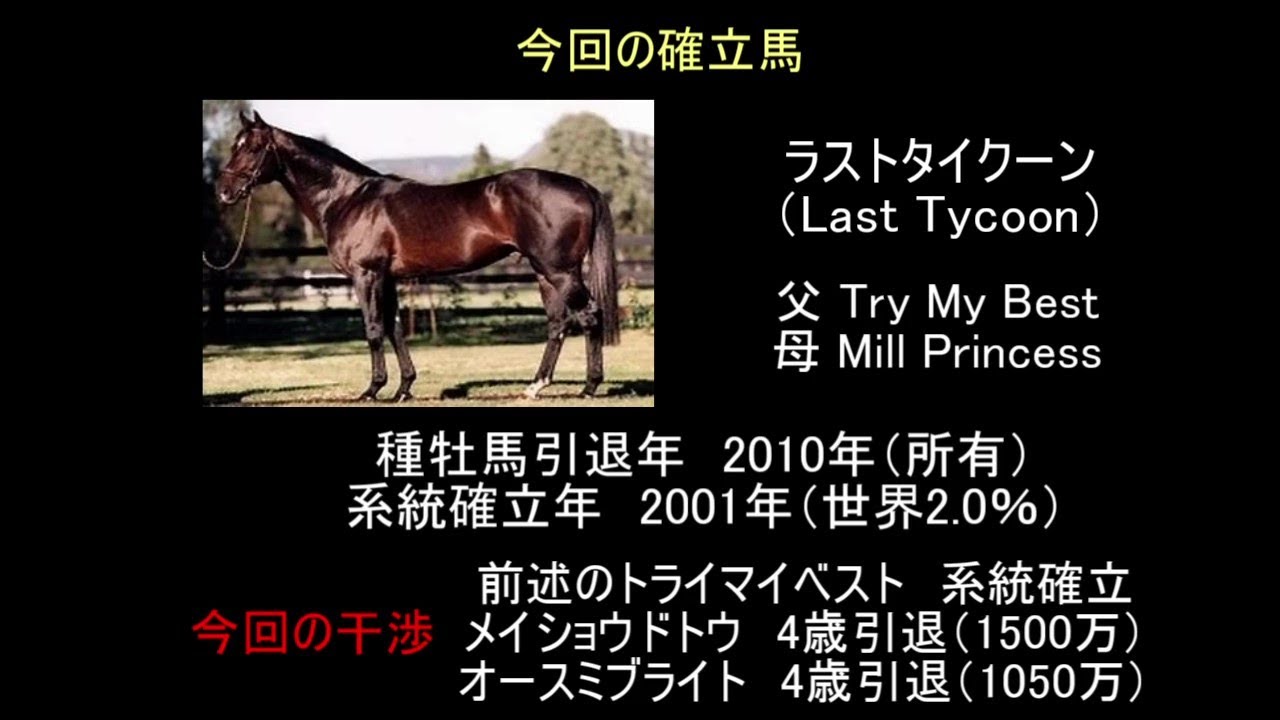 ゆっくり解説 ウイニングポスト9 21 系統確立 トライマイベスト ラストタイクーン系編 Youtube ゆっくり解説 ウイニングポスト9 21 系統確立 トライマイベスト ラストタイクーン系編 Youtube