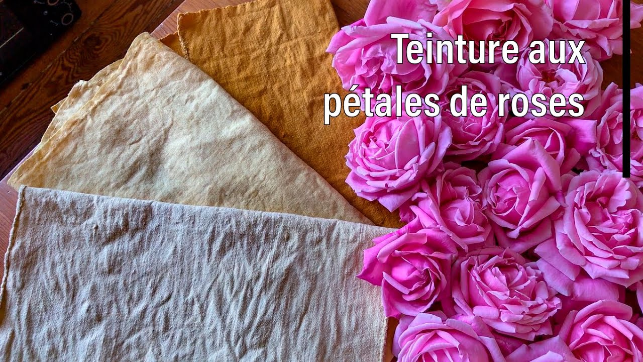 Teinture textile aux pétales de rose 
