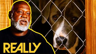 Dog Rescuers Emotional  Pitbull Was Abandoned When The Owner Moved Out! l Pit Bulls and Parolees