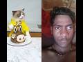 labubu 🍰cake#makeover! #🙄thatlittlepuff#🧐labubu#😋#video #shorts 😯#cat 🐱