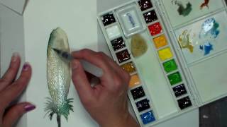 Holbein Watercolor Review