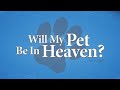 Will My Pet Be in Heaven?