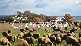 Cem Ovelhas Hinos Antigos