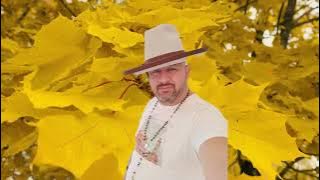 Toci De La Timisoara - CADOU MUZICAL 2025