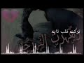 كانت عمري 💔😔 اغنية كانت الي حبي الوحيد 💔 اميرت زماني