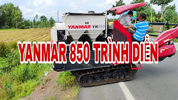 TRÌNH DIỄN MÁY CẮT LÚA YANMA 850 TẠI VỊ THANH HẬU GIANG.