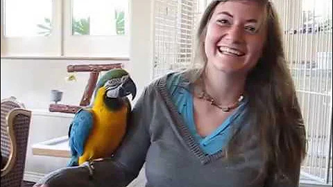 Ellie and macaw in Coronado