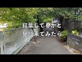 川崎市多摩区、五反田川