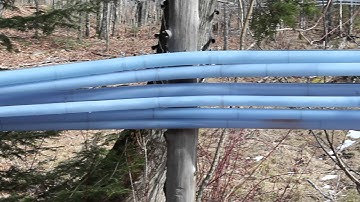 Inside a Maple Syrup Operation